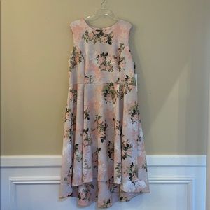 Calvin Klein Pink Floral Scuba High Low Dress 18W